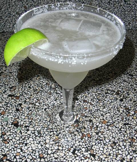 Reference photo of a Margarita