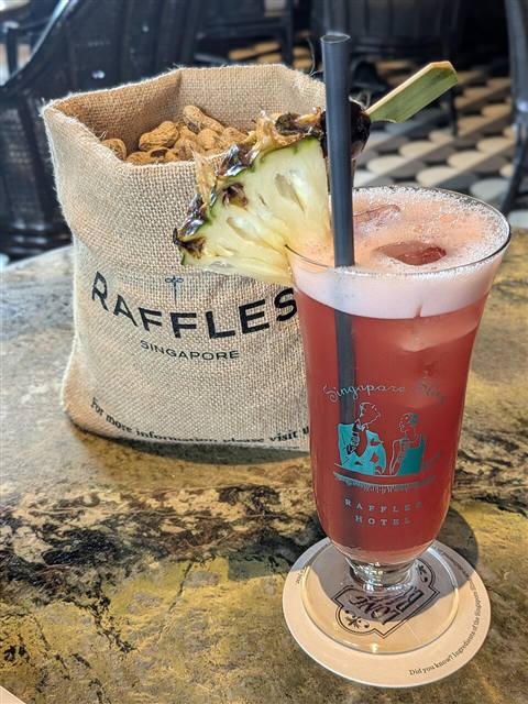 Reference photo of a Singapore Sling
