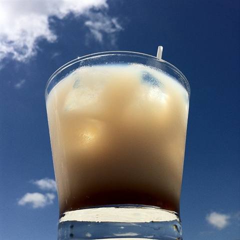 Reference photo of a White Russian